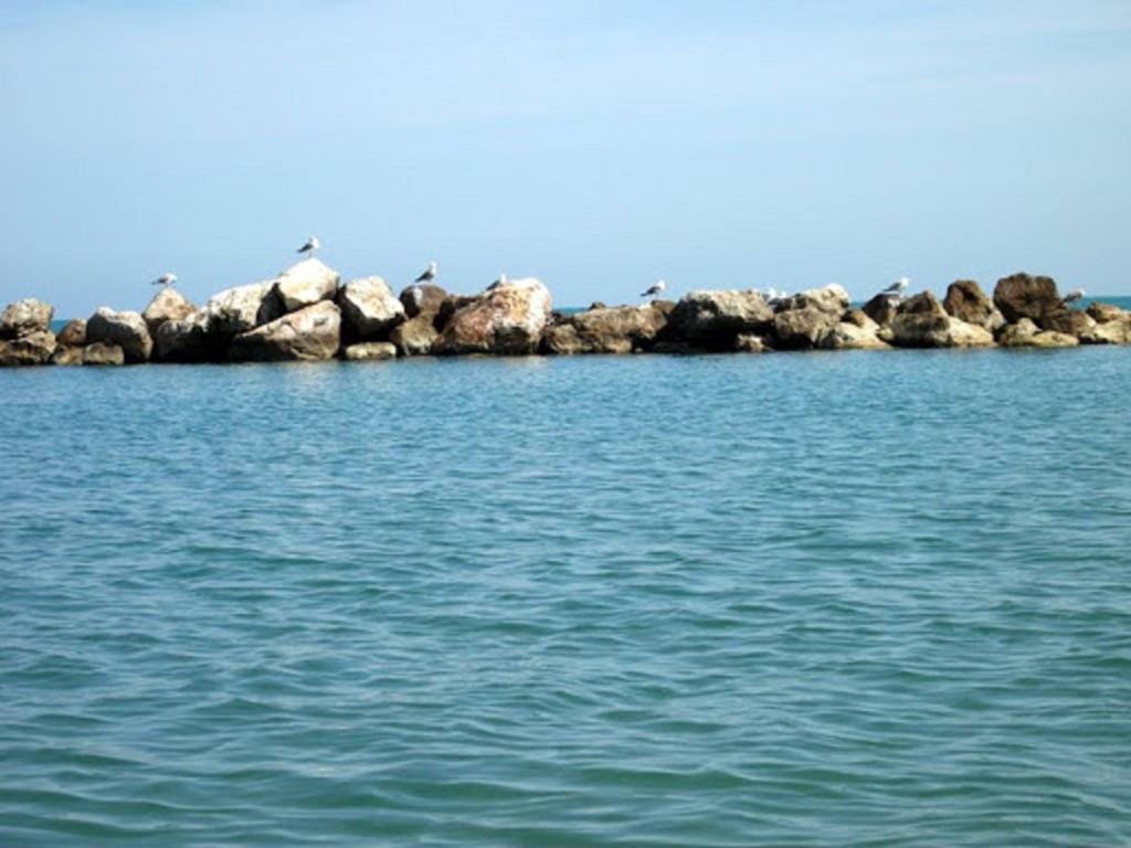 Un Nido Sul Mare Apartment Montesilvano Bagian luar foto
